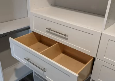 Recent Projects - Custom Divider Drawers